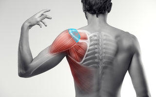 Mind Your Rotator Cuff