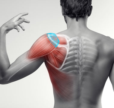 Mind Your Rotator Cuff